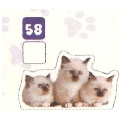 VIGNETTE  58 BIRMAN -...