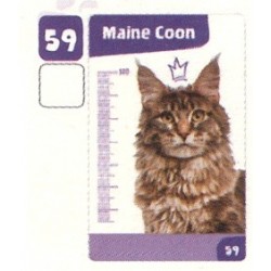 VIGNETTE  59 MAINE COON -...