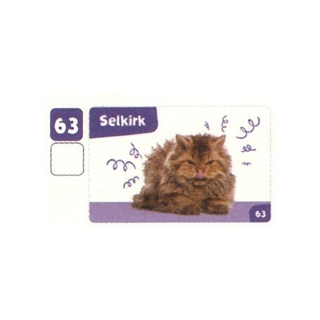 VIGNETTE 63 SELKIRK - Collection 2024 - Nos amies les bêtes