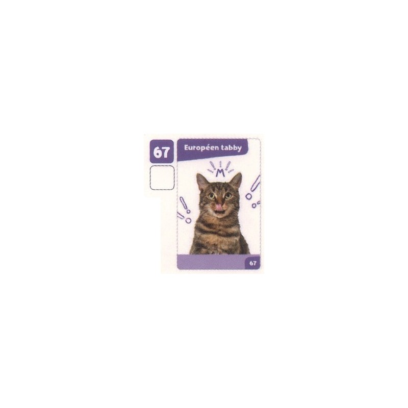 VIGNETTE  67 EUROPÉEN TABBY - Collection 2024 - Nos amies les bêtes
