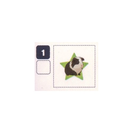 TATOUAGE 1 COCHON D'INDE - Collection 2024 - Nos amies les bêtes