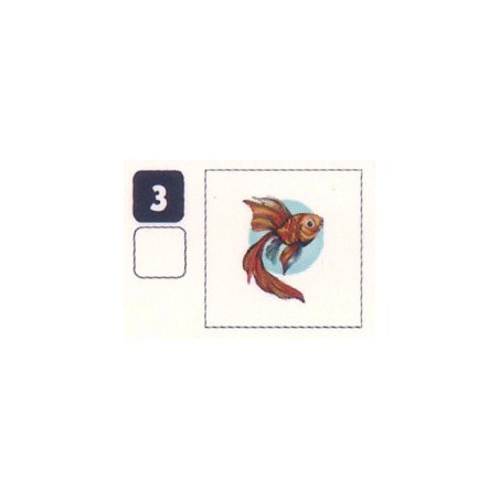 TATOUAGE 3 POISSON ROUGE - Collection 2024 - Nos amies les bêtes